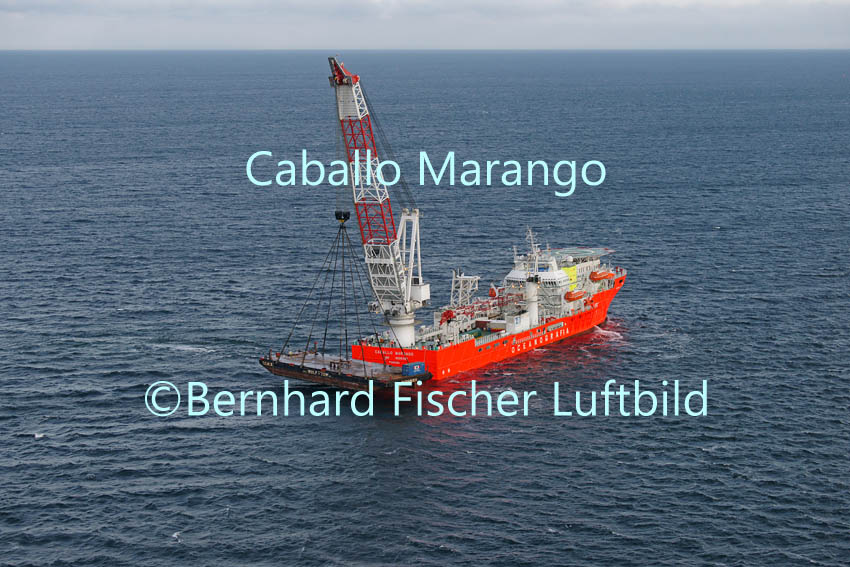 Caballo Marango vor Warnemnde I, Bernhard Fischer Luftbild, (Nr. 1830) 21.01.2013