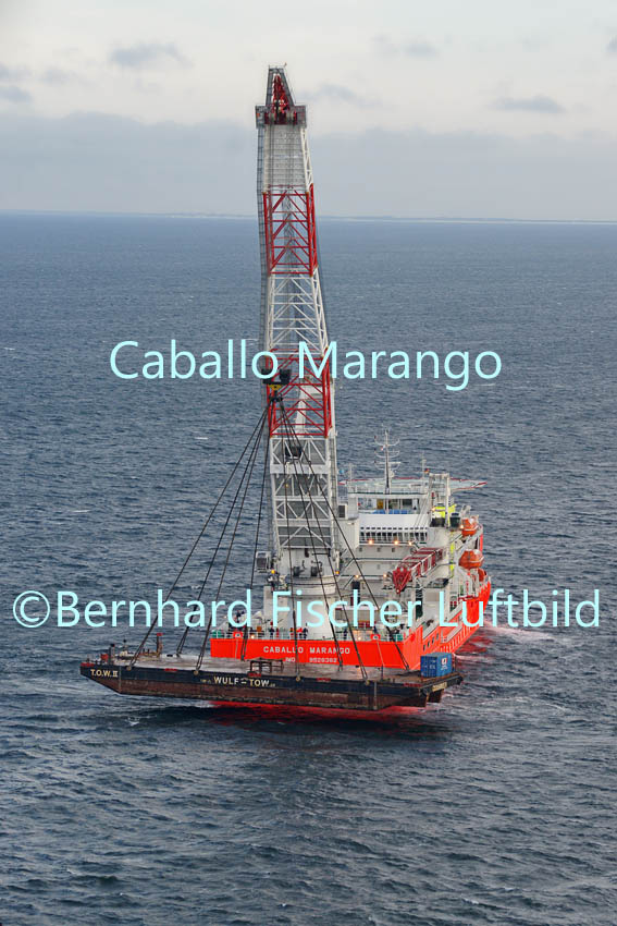 Caballo Marango vor Warnemnde II, Bernhard Fischer Luftbild (Nr. 1824), 21.01.2013