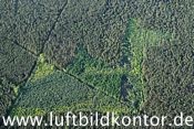 der gr�ne Drachen Luftbild, Bernhard Fischer Luftbild, Nr 1731, 03.05.2011