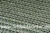 viele Panzer, L�bau, 1992, Nr. 0162, Bernhard Fischer Luftbild